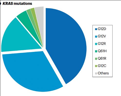 KRAS allele distribution in PDAC. G12D is the largest segment, followed by G12V and G12R. Smaller segments represent Q61H, Q61R, G12C, and other alleles.